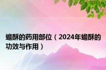 蟾酥的药用部位（2024年蟾酥的功效与作用）