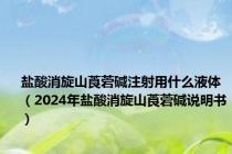 盐酸消旋山莨菪碱注射用什么液体（2024年盐酸消旋山莨菪碱说明书）
