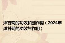 洋甘菊的功效和副作用（2024年洋甘菊的功效与作用）