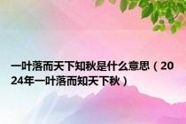 一叶落而天下知秋是什么意思（2024年一叶落而知天下秋）