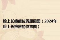 脸上长痘痘位置原因图（2024年脸上长痘痘的位置图）