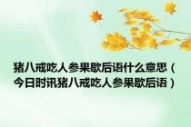 猪八戒吃人参果歇后语什么意思（今日时讯猪八戒吃人参果歇后语）