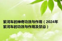 紫河车的神奇功效与作用（2024年紫河车的功效与作用及禁忌）
