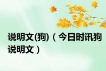 说明文(狗)（今日时讯狗说明文）