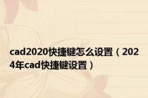cad2020快捷键怎么设置（2024年cad快捷键设置）