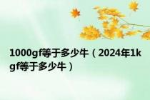 1000gf等于多少牛（2024年1kgf等于多少牛）