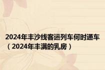 2024年丰沙线客运列车何时通车（2024年丰满的乳房）