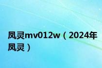 凤灵mv012w（2024年凤灵）