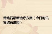 肾结石最新治疗方案（今日时讯肾结石病因）