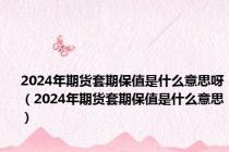2024年期货套期保值是什么意思呀（2024年期货套期保值是什么意思）