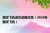 围攻飞机成功迫降合集（2024年围攻飞机）