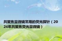 共聚焦显微镜常用的荧光探针（2024年共聚焦荧光显微镜）
