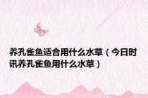 养孔雀鱼适合用什么水草（今日时讯养孔雀鱼用什么水草）