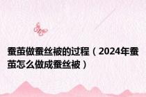 蚕茧做蚕丝被的过程（2024年蚕茧怎么做成蚕丝被）
