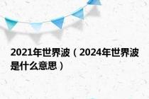 2021年世界波（2024年世界波是什么意思）
