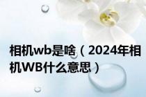 相机wb是啥（2024年相机WB什么意思）