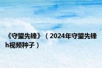 《守望先锋》（2024年守望先锋h视频种子）
