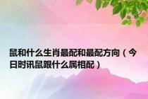 鼠和什么生肖最配和最配方向（今日时讯鼠跟什么属相配）