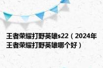 王者荣耀打野英雄s22（2024年王者荣耀打野英雄哪个好）