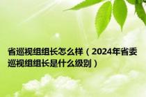 省巡视组组长怎么样（2024年省委巡视组组长是什么级别）