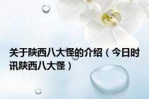 关于陕西八大怪的介绍（今日时讯陕西八大怪）