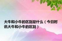 大牛和小牛的区别是什么（今日时讯大牛和小牛的区别）
