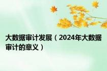 大数据审计发展（2024年大数据审计的意义）