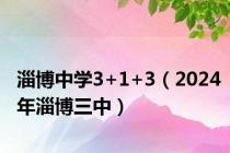 淄博中学3+1+3（2024年淄博三中）