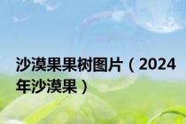 沙漠果果树图片（2024年沙漠果）