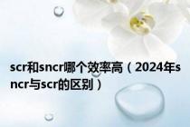 scr和sncr哪个效率高（2024年sncr与scr的区别）