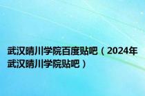 武汉晴川学院百度贴吧（2024年武汉晴川学院贴吧）