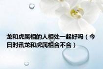 龙和虎属相的人相处一起好吗（今日时讯龙和虎属相合不合）