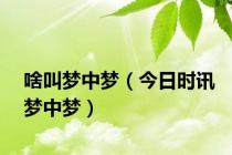 啥叫梦中梦（今日时讯梦中梦）