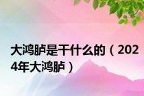 大鸿胪是干什么的（2024年大鸿胪）