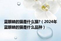 蓝眼睛的猫是什么猫?（2024年蓝眼睛的猫是什么品种）