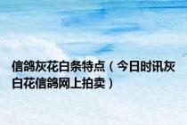 信鸽灰花白条特点（今日时讯灰白花信鸽网上拍卖）
