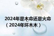 2024年是木命还是火命（2024年坏木木）