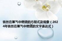 铁丝在氧气中燃烧的方程式及现象（2024年铁丝在氧气中燃烧的文字表达式）