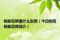蚂蚁花呗是什么东西（今日时讯蚂蚁花呗简介）