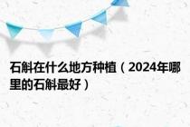 石斛在什么地方种植（2024年哪里的石斛最好）