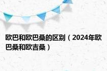 欧巴和欧巴桑的区别（2024年欧巴桑和欧吉桑）