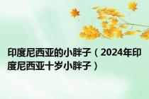 印度尼西亚的小胖子（2024年印度尼西亚十岁小胖子）