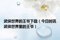 武侠世界的王爷下载（今日时讯武侠世界里的王爷）