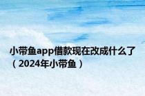 小带鱼app借款现在改成什么了（2024年小带鱼）