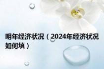 明年经济状况（2024年经济状况如何填）