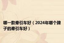 哪一款牵引车好（2024年哪个牌子的牵引车好）