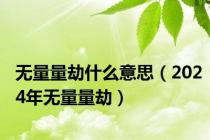 无量量劫什么意思（2024年无量量劫）
