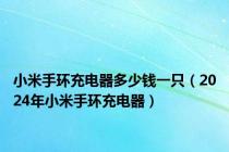 小米手环充电器多少钱一只（2024年小米手环充电器）