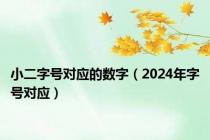 小二字号对应的数字（2024年字号对应）