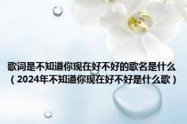 歌词是不知道你现在好不好的歌名是什么（2024年不知道你现在好不好是什么歌）
